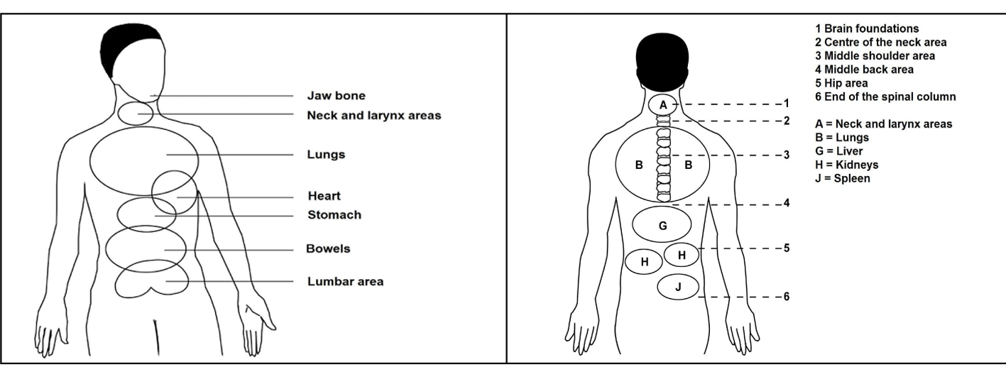 Body front back ENG